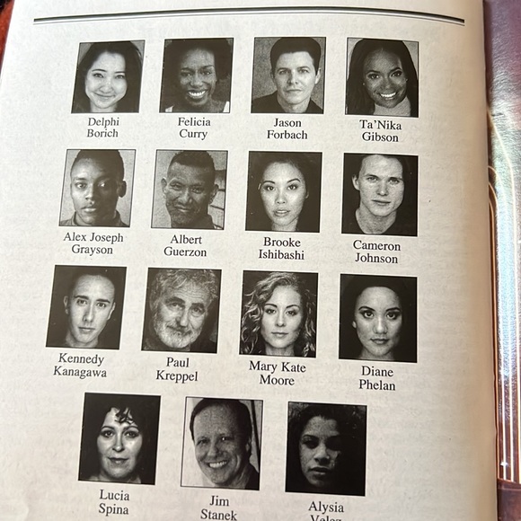 Into the Woods Playbill- Stephanie J Block Patina Miller Gavin Creel broadway - Picture 3 of 3